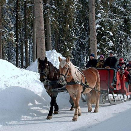Pferdeschlittenfahrt für die ganze Familie in Westendorf