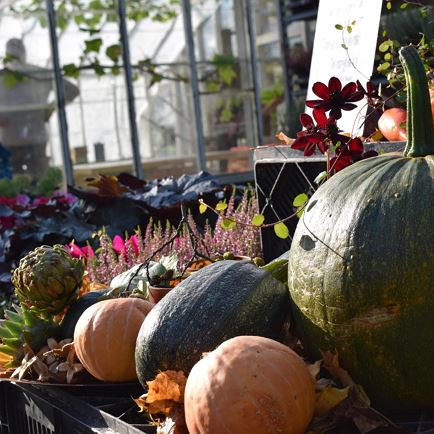 VZ Komma: 1e herfstbeurs Unterland