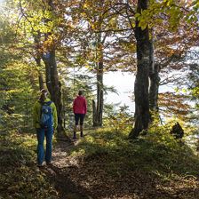 Geführte Wanderung: 'Wald- und Seenwanderung'