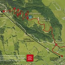 Biene Line findet neue Ponyfreunde