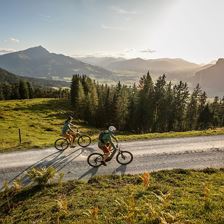 Alpen E-Bike Genuss-Tour