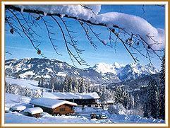 Gasthof Winkelmoos im Winter