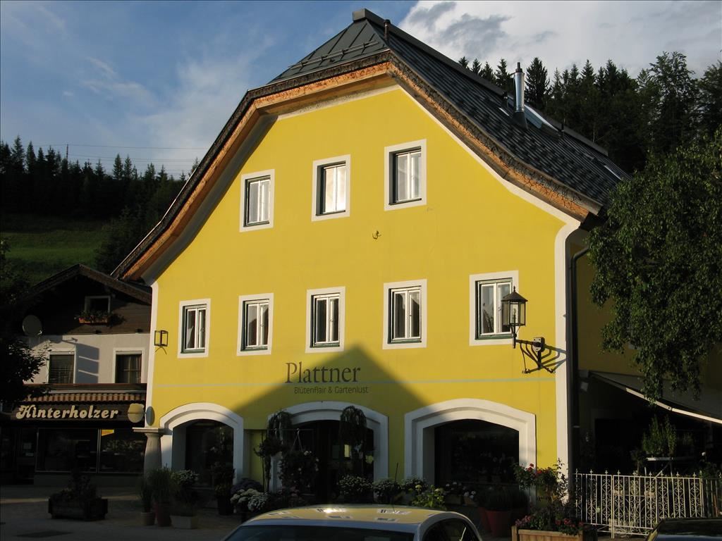 Saalbach Hinterglemm Leogang Fieberbrunn: Hiihtoalue - Itvalta - Salzburg room safe, mini bar, hair dryer, towel dryer and free wireless Internet access. Hotel die Hindenburg: hotelli / loma-asunto - BERGFEX
