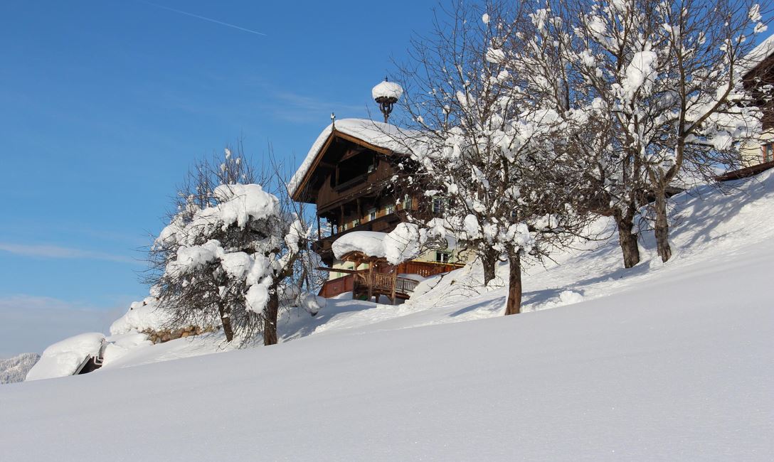 Bauernhof Mödling Winter