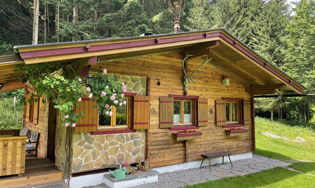 Hütte Waldzeit im Sommer