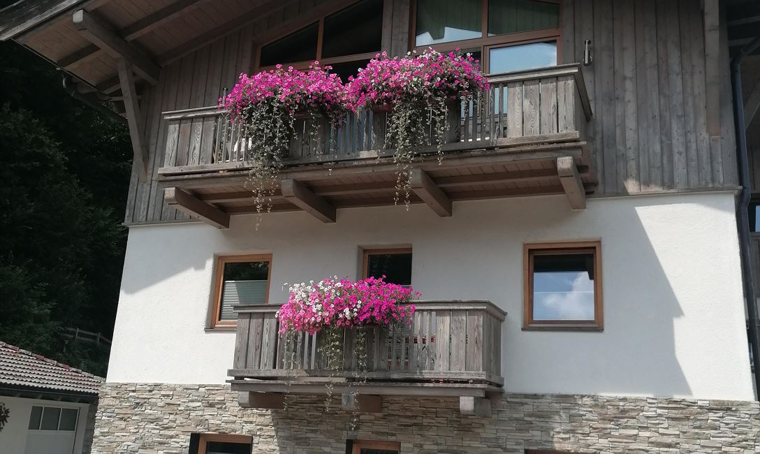 Haus Riedmann Hausansicht Sommer