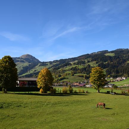 Appartement Aussicht