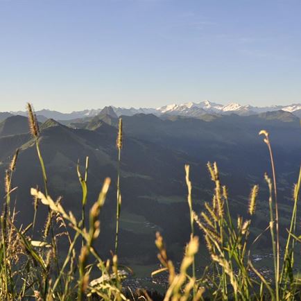 Blick zu den Hohen Tauern