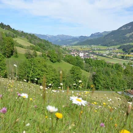 4 Herrliche Aussicht bis Kitzbühel