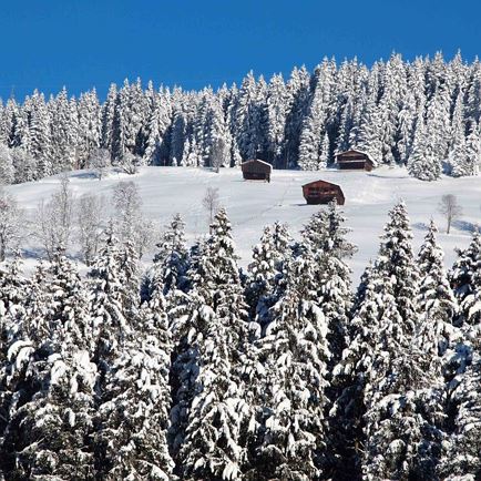 Appartement Weidachhof