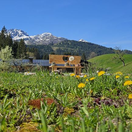 Wunderschöne Aussicht auf die Berge