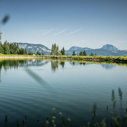Gipfelstürmen & Panoramablicken