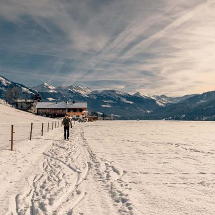 Bauernhof Kainrathenhof
