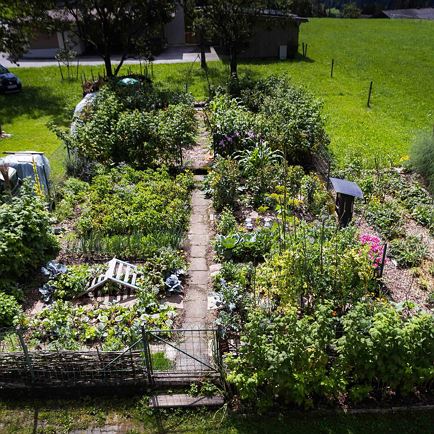 Überblick Garten