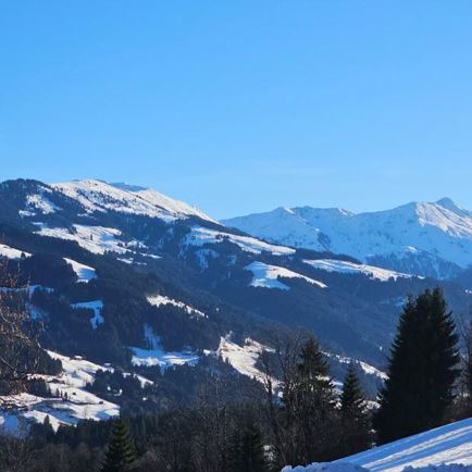 Ausblick2