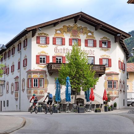 KitzNest