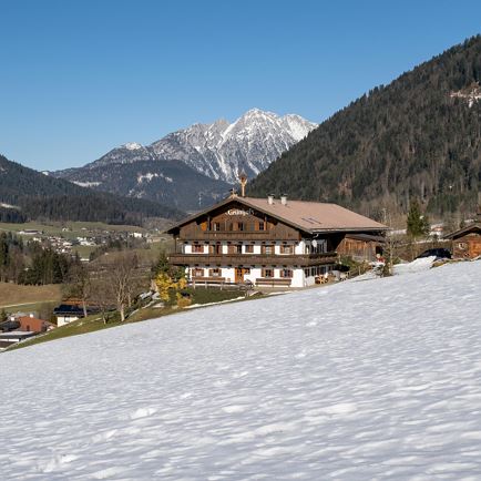 Gruenholz Winter