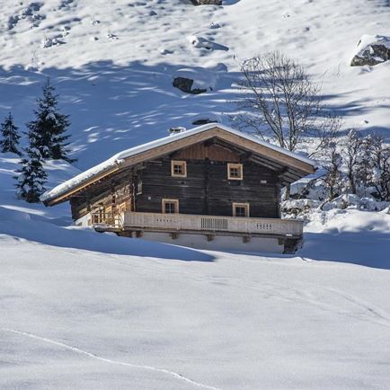 Chalet Ursteinhütte - Almhütte