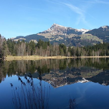 Naturjuwel Schwarzsee