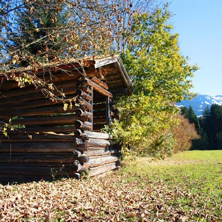Westendorf im Herbst_Kitzbüheler Alpen01