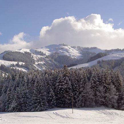 Blick zur Ehrenbachhöhe
