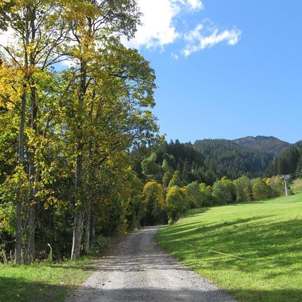 Blick zum Gampenkogel