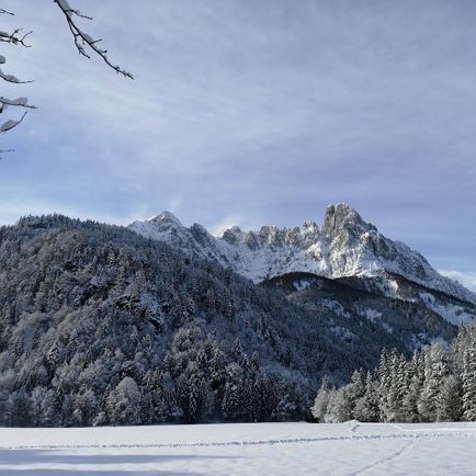 Tischlerhof Wilder Kaiser