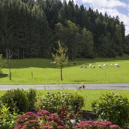 Haus_Mariandl_Wiesen_1_Oberndorf_Ausblick (1280x85
