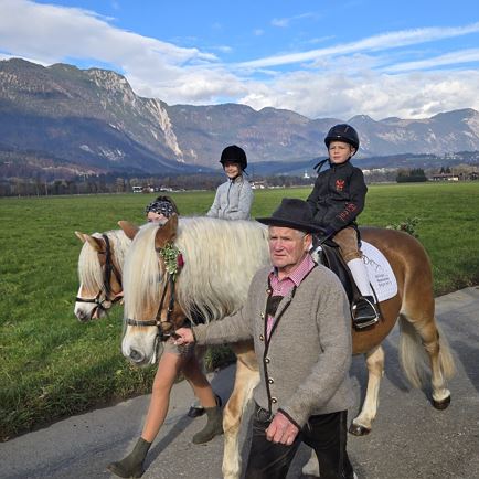 Pferdeerlebnis am Starmacher Hof