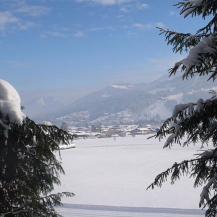 Winter _ 7