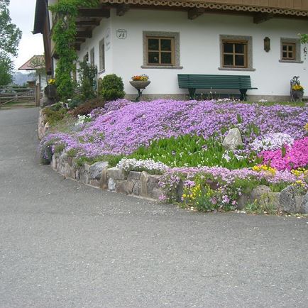 Blumen vor dem Haus
