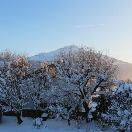 Gartenblick Winter 