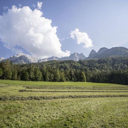 k--®defrancesco_photography_Ascherbauer-86