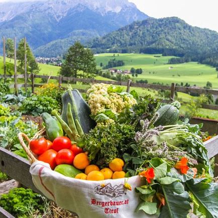 Bergerbauer Gartenernte
