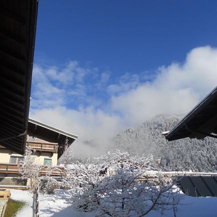 WinterBild 25-12- 2014