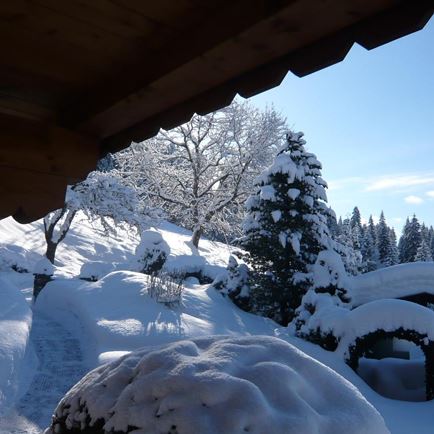 Garten im Winter