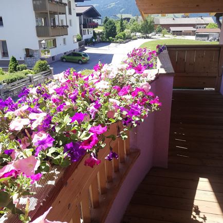 IMG_20210626_124724_resized_20211024_020930786