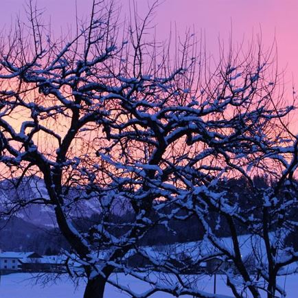 Morgenrot im Winter