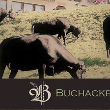 BuchackerAlm Image