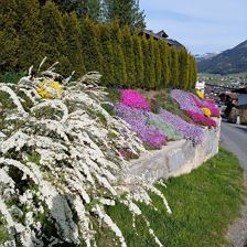 Ausblick über das Dorf