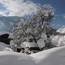 tiefster Winter