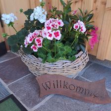 WhatsApp Bild 2025-07-28 um 23.06.58_62726793