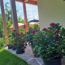 WhatsApp Bild 2025-07-28 um 23.08.21_a48c2faf