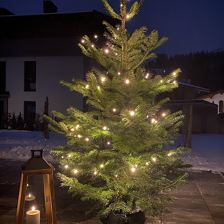 Apartment Bergfieber