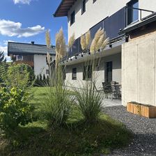 Apartment Bergfieber