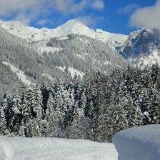 Ausblick vom Haus aus - Winter