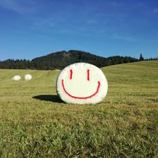 Feldarbeit macht Spaß