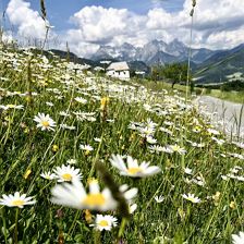 67A32506-915D-4750-B358-3A78F7944FE2