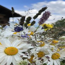 A8618919-4FEC-400D-AE44-30E9699E2AB7