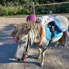 FEBS Reitpädagogische Betreuung am Hof